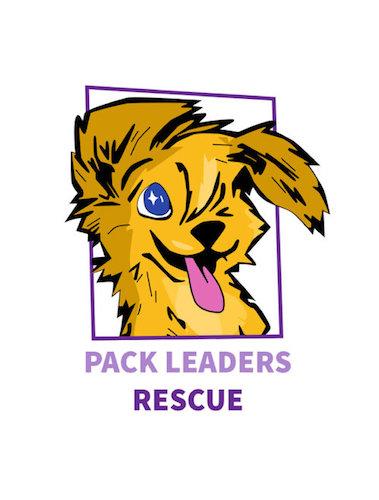 Pack Leaders Rescue of CT