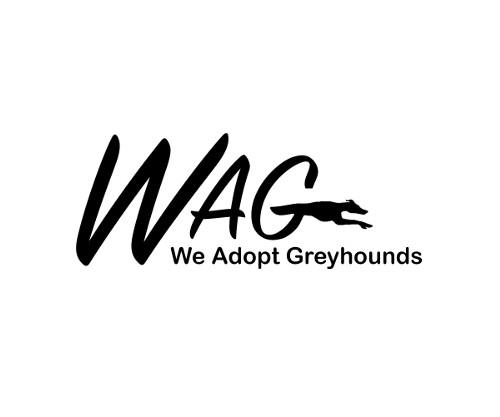 We Adopt Greyhounds