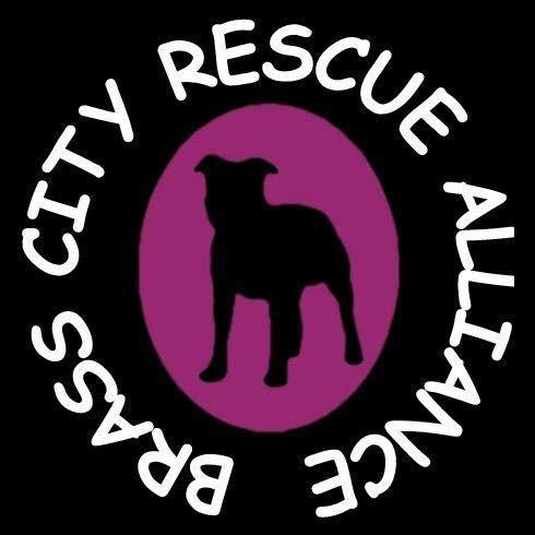 Brass City Rescue Alliance